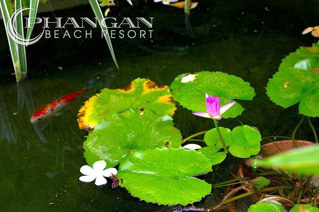 Phangan Beach Resort Baan Tai Eksteriør bilde